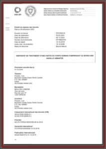 Switzerland Patent Magnetic Tattoo Removal